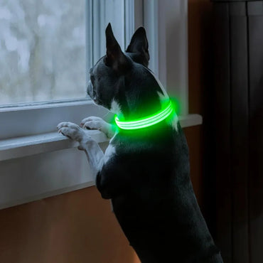 Light Up Dog Collars Rechargeable Reflective LED Glow Dark Dog Collar for Small Medium Large Dogs Adjustable Pet Dog Lights for