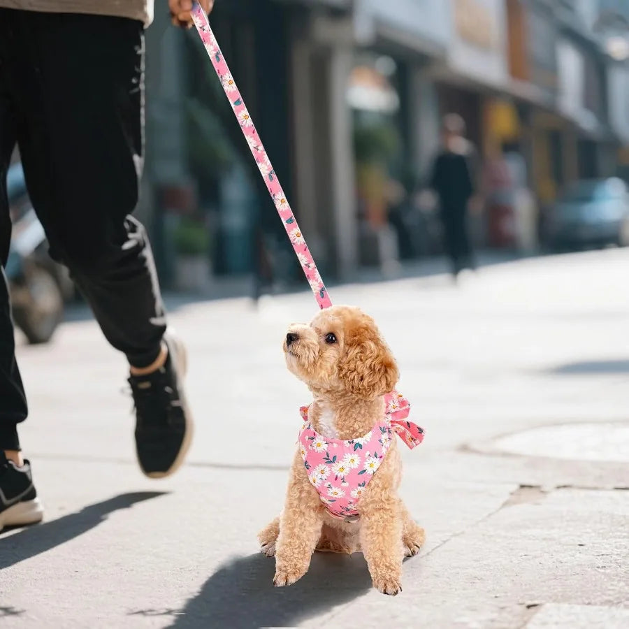 Dog Harness and Leash Set Adjustable Puppy Harness Mesh Vest Set Bow Knot Pet Clothes for Small Girl Dog Cat Summer Pink XSmall