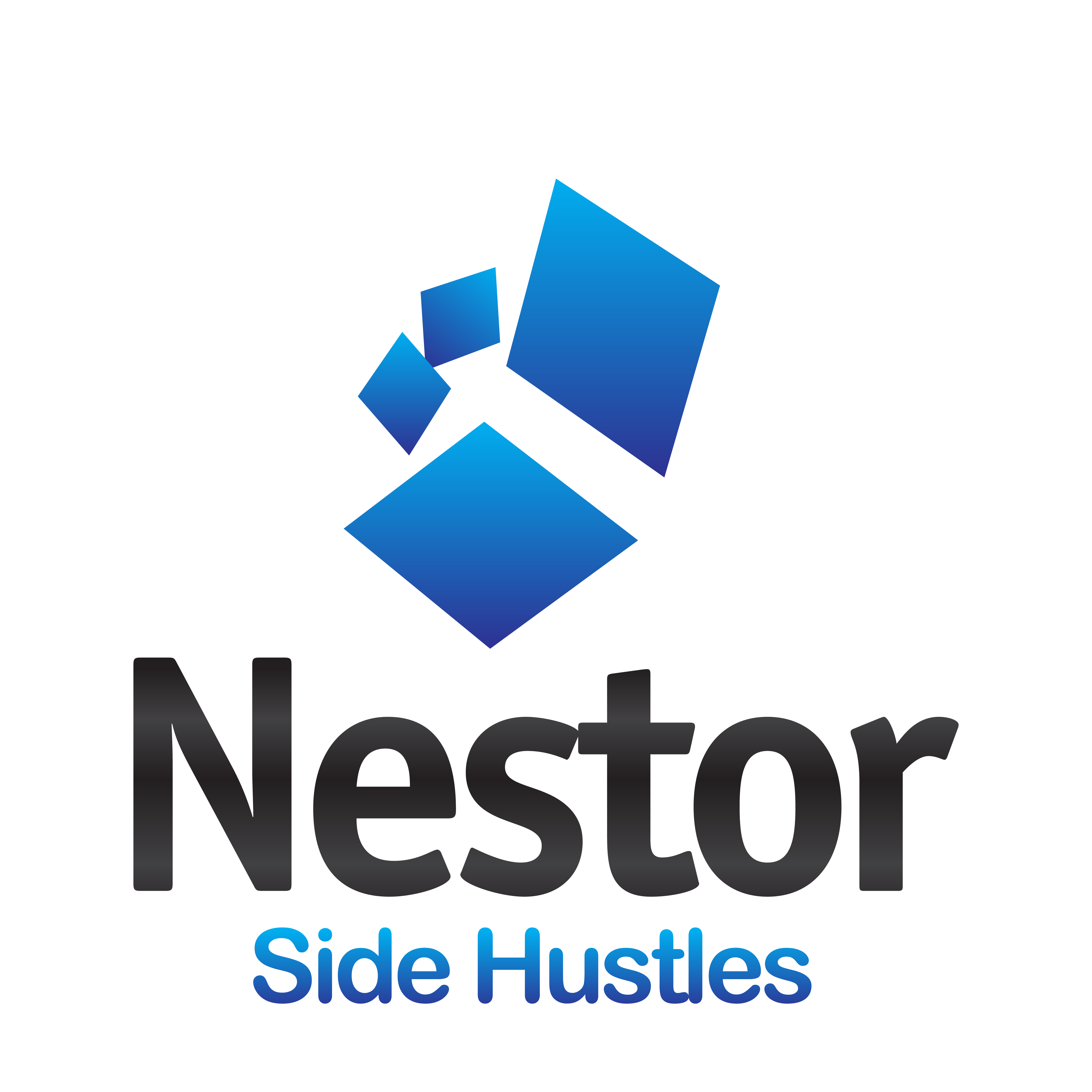 Nestor Store