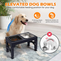 2-in-1 Elevated Slow Feeder Dog Bowls, Non-Slip Stainless Steel/Plastic/ Pet Food & Water Bowls with Foldable Stand
