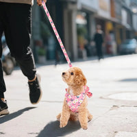 Dog Harness and Leash Set Adjustable Puppy Harness Mesh Vest Set Bow Knot Pet Clothes for Small Girl Dog Cat Summer Pink XSmall