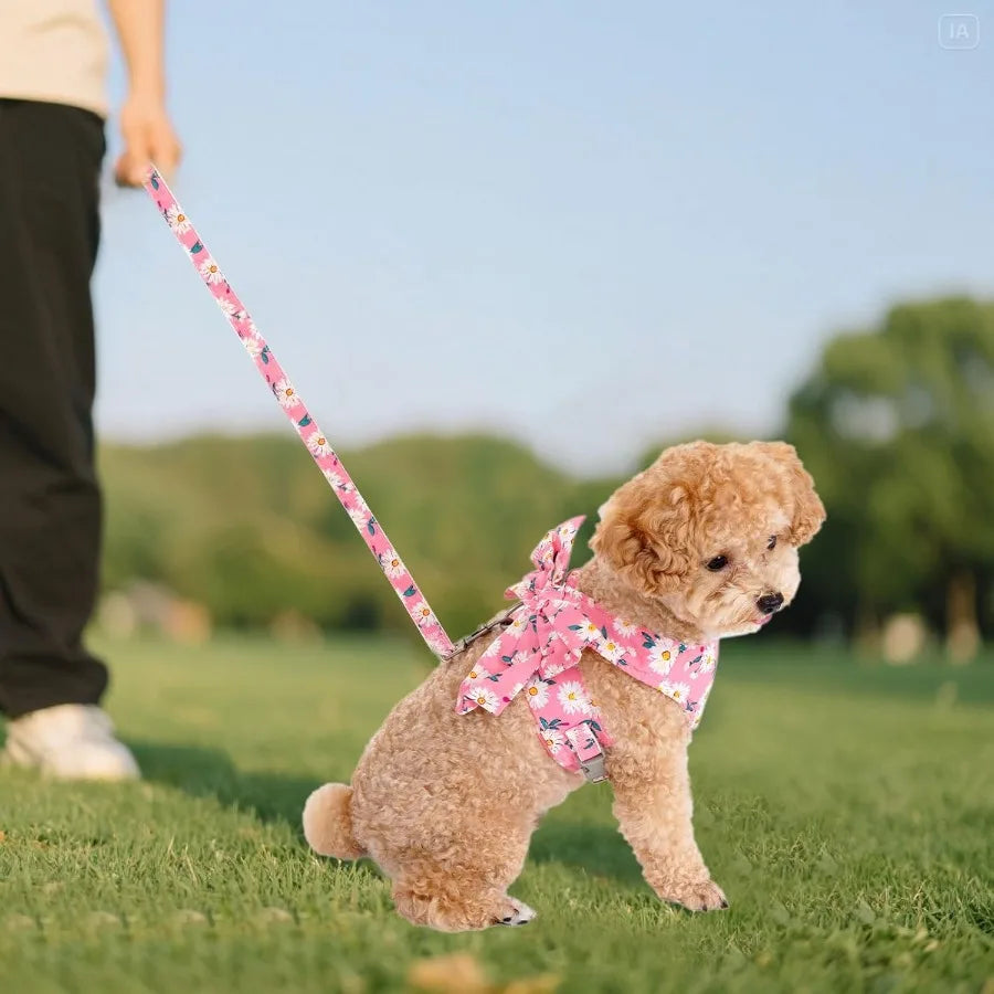 Dog Harness and Leash Set Adjustable Puppy Harness Mesh Vest Set Bow Knot Pet Clothes for Small Girl Dog Cat Summer Pink XSmall